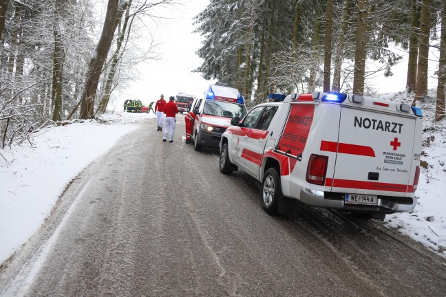 Auto kracht bei Unfall in Offenhausen gegen Baum