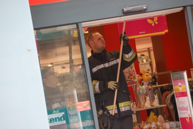 Verirrte Taube aus Geschäftslokal in Wels-Innenstadt gerettet