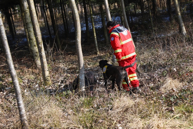 Rettungshunde für Aus- und Weiterbildung auf besonderem Sucheinsatz