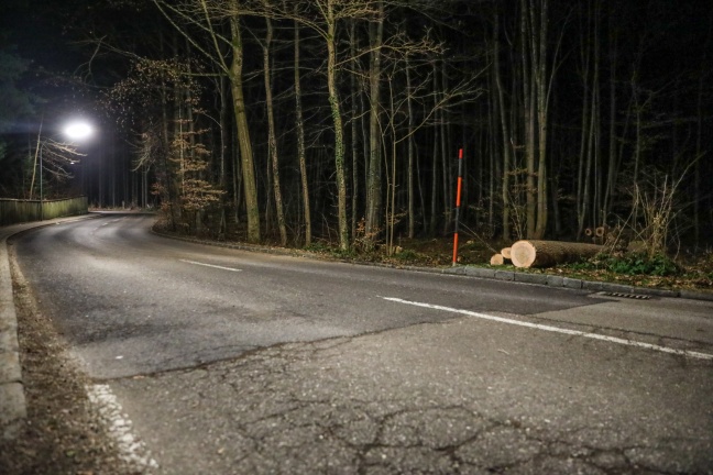 55-Jähriger bei Forstarbeiten in Gmunden tödlich verletzt