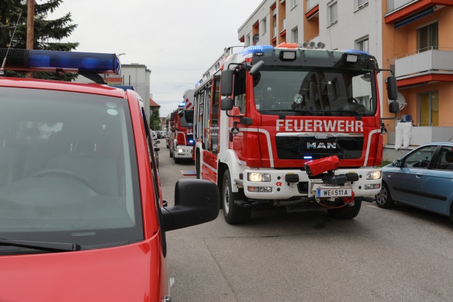 Brand eines Mistkübels in einer Küche eines Mehrparteienwohnhauses in Wels-Neustadt