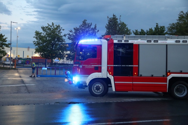 Rehkitz durch Feuerwehr aus Lagerhalle in Wels-Neustadt gerettet