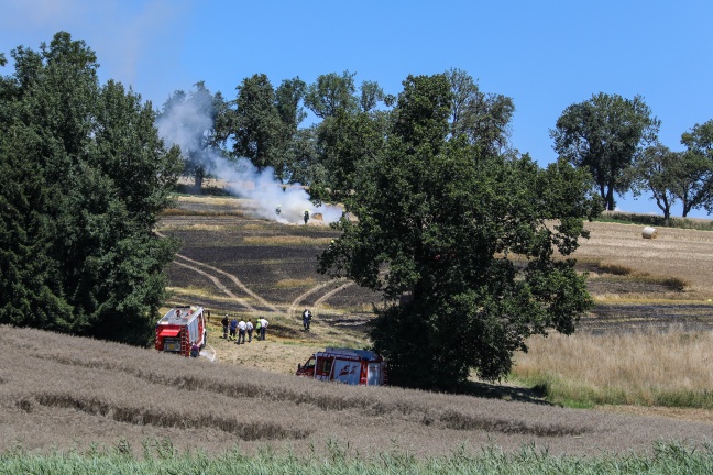 Feuerwehr bei ausgedehntem Brand eines Feldes in Pucking im Einsatz
