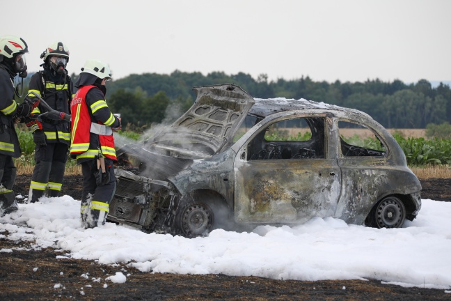 Auto auf Stoppelfeld in Buchkirchen ausgebrannt