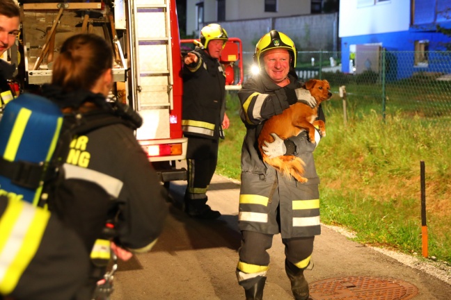Hund bei Kellerbrand in Edt bei Lambach aus verrauchtem Haus gerettet