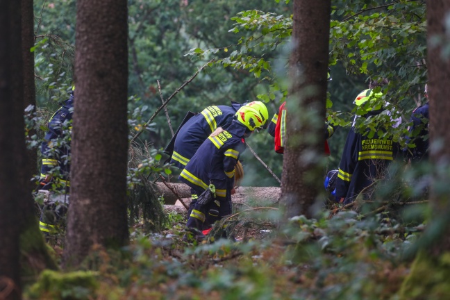 Schwerer Forstunfall in Kremsmünster