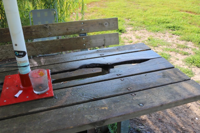 Brand eines Tisches in Hundefreilaufzone in Wels-Vogelweide