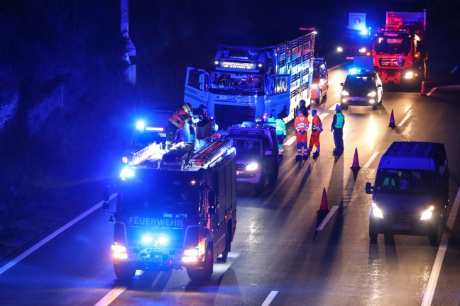 LKW-Lenker nach internem Notfall auf Innkreisautobahn bei Wels aus Führerhaus gerettet