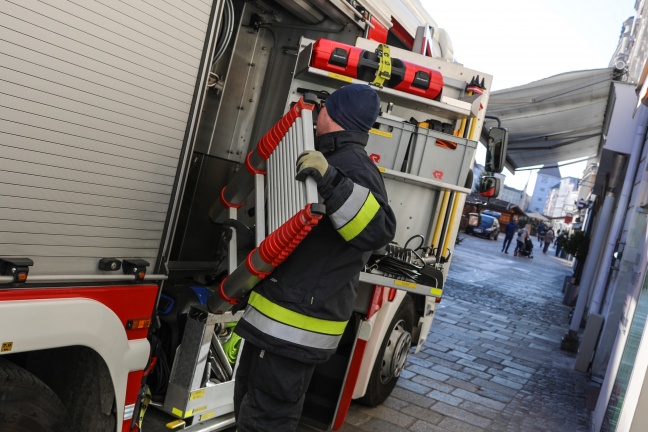 Taube durch Feuerwehr aus Geschäftslokal in Wels-Innenstadt gerettet