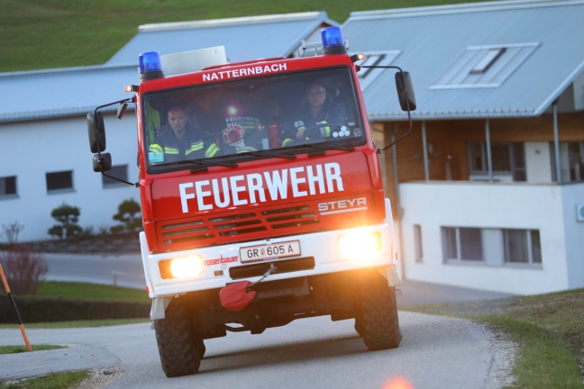 Drei Feuerwehren bei Holzverarbeitungsbetrieb in Natternbach im Einsatz