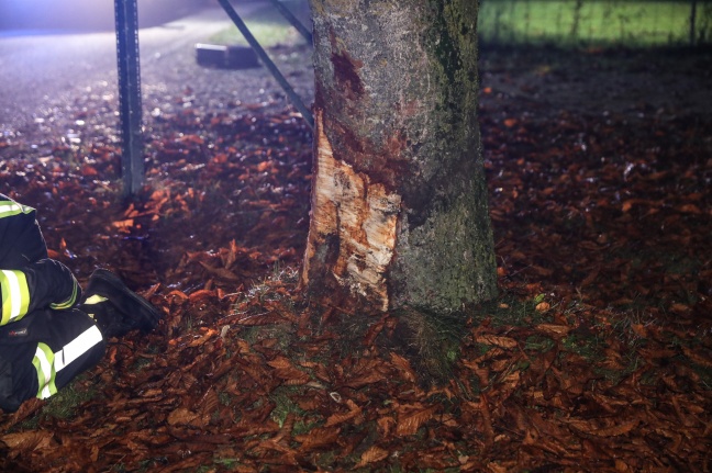 Foto: Auto bei Unfall in Sipbachzell gegen Baum gekracht | Foto: laumat.at/Matthias Lauber Auto bei Unfall in Sipbachzell gegen Baum gekracht