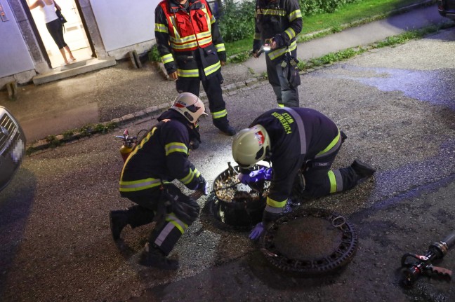 Foto: Feuerwehr bei Brand in Wels-Vogelweide im Einsatz - Kanalschacht als Aschenbecher zweckentfremdet | Foto: laumat.at/Matthias Lauber Feuerwehr bei Brand in Wels-Vogelweide im Einsatz - Kanalschacht als Aschenbecher zweckentfremdet