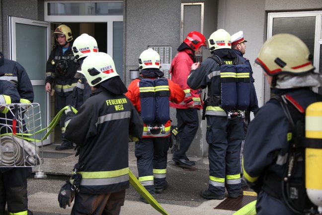 Drei Verletzte bei Brand im Keller des Maria-Theresia-Hochhauses