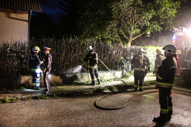 Thujenhecke in Wels-Vogelweide in Brand gesetzt