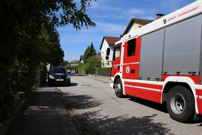 Heckenbrand in Wels-Pernau schnell abgelöscht