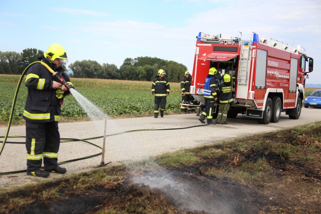 Flurbrand während Großübung der Feuerwehr in Marchtrenk