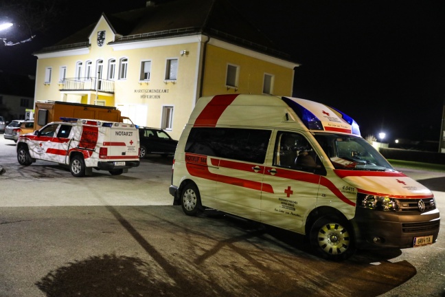 Nächtlicher Cobra-Einsatz in Hofkirchen an der Trattnach endet mit Festnahme