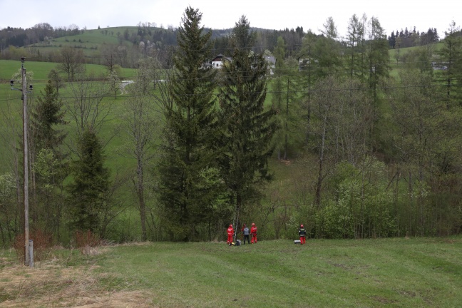 Höhenretter bei Katzenrettung in Steinbach am Ziehberg im Einsatz