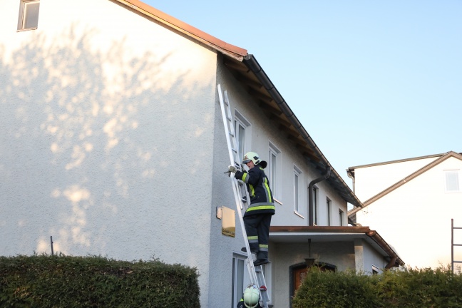 Feuerwehr rettet kopfüber unter einer Dachrinne hängenden Spatz