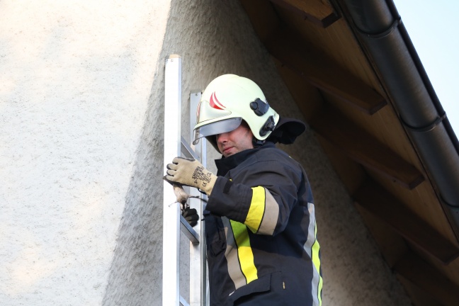 Feuerwehr rettet kopfüber unter einer Dachrinne hängenden Spatz