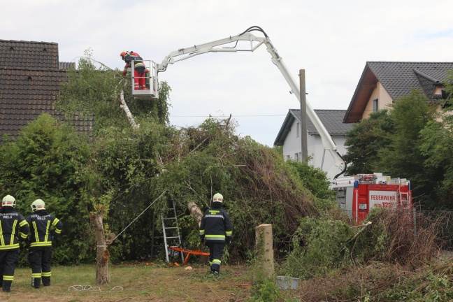 Baum stürzte beim Umschneiden auf Wohnhaus in Wels-Lichtenegg
