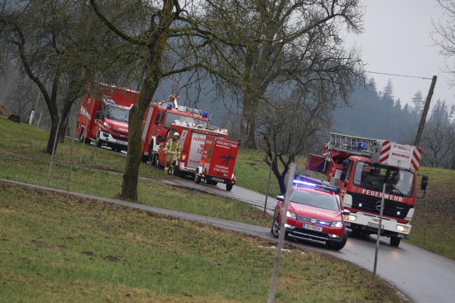 Höhenretter der Feuerwehr bei Personenrettung in Mehrnbach im Einsatz
