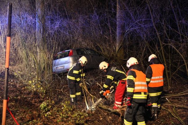 Autolenker nach Verkehrsunfall in einem Waldstück in Holzhausen zwischen Bäumen eingeschlossen