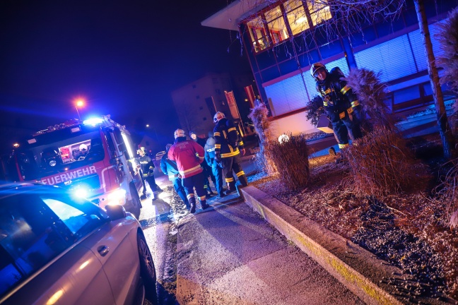 Brand mehrerer Schilfpflanzen sorgt für Einsatz der Feuerwehr in Wels-Pernau
