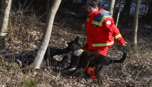 Rettungshunde für Aus- und Weiterbildung auf besonderem Sucheinsatz | Foto: laumat.at/Matthias Lauber Rettungshunde für Aus- und Weiterbildung auf besonderem Sucheinsatz