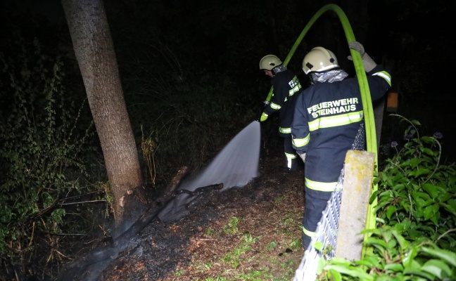Kleinerer Waldbrand in Thalheim bei Wels schnell unter Kontrolle gebracht