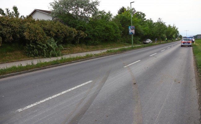 Autolenker kollidierte auf Radweg in Wels-Vogelweide mit Bäumchen