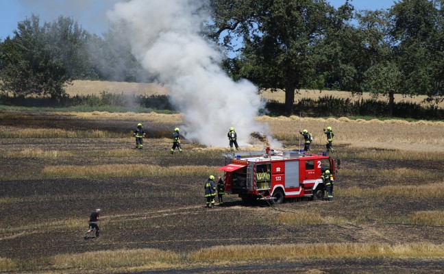 Feuerwehr bei ausgedehntem Brand eines Feldes in Pucking im Einsatz