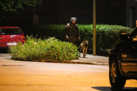 Polizei und Einsatzkommando Cobra im Welser Stadtteil Neustadt im Einsatz