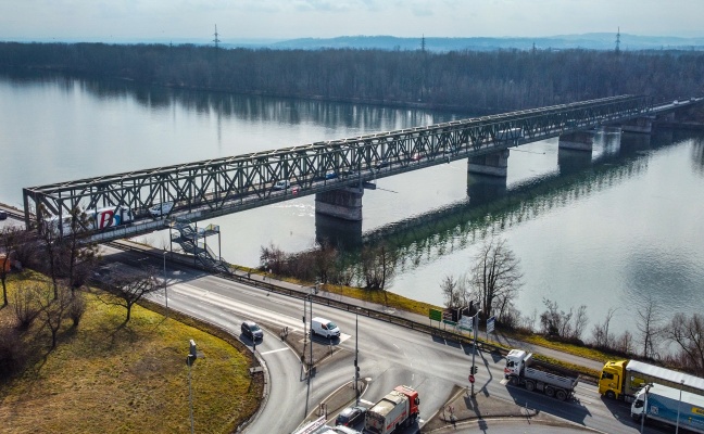 Fledermaus und Mittelspecht: Neubau der Donaubrücke bei Mauthausen verzögert sich erneut