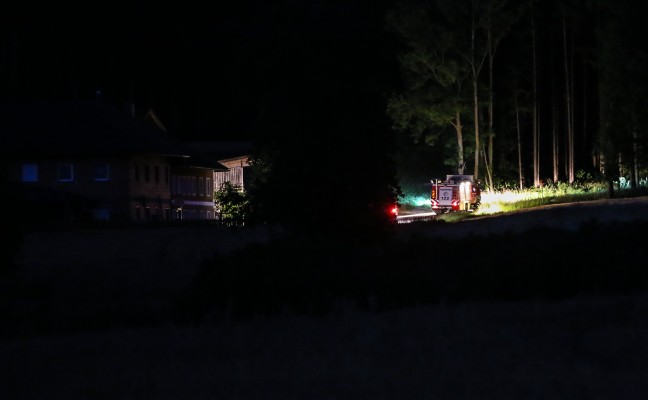 Feuerwehr bei Suche nach entlaufenen Rindern in Steinerkirchen an der Traun im Einsatz