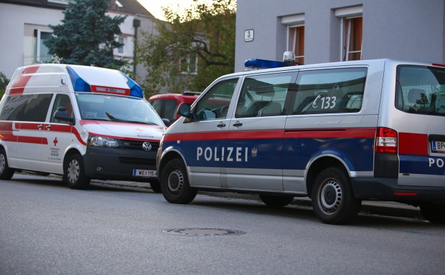 Polizisten bei Amtshandlung in Wels-Neustadt attackiert
