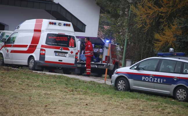 Mann bei Arbeitsunfall in Wels-Puchberg schwer verletzt