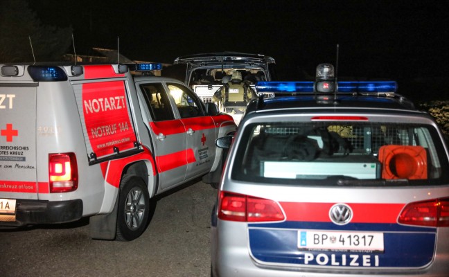 Nächtlicher Cobra-Einsatz in Hofkirchen an der Trattnach endet mit Festnahme