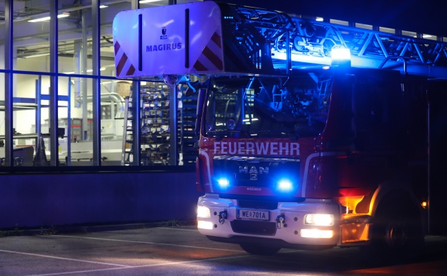 Brand in Produktionshalle in Wels-Waidhausen vor Eintreffen der Feuerwehr gelöscht