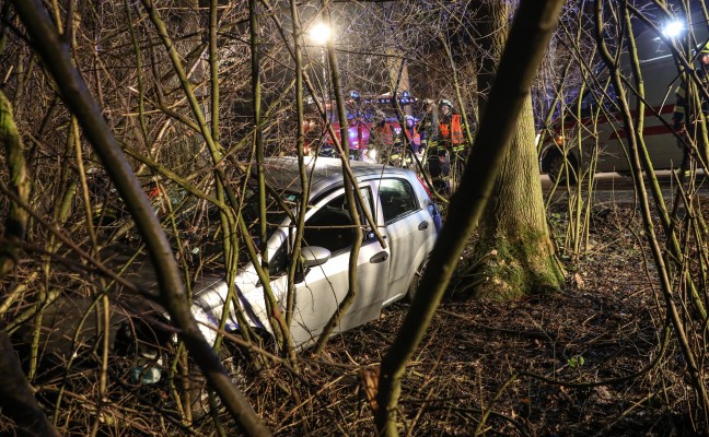 Autolenker nach Verkehrsunfall in einem Waldstück in Holzhausen zwischen Bäumen eingeschlossen