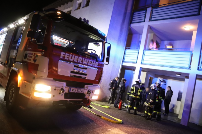 Lichtschacht als Aschenbecher zweckentfremdet - Kleinbrand in Thalheim bei Wels