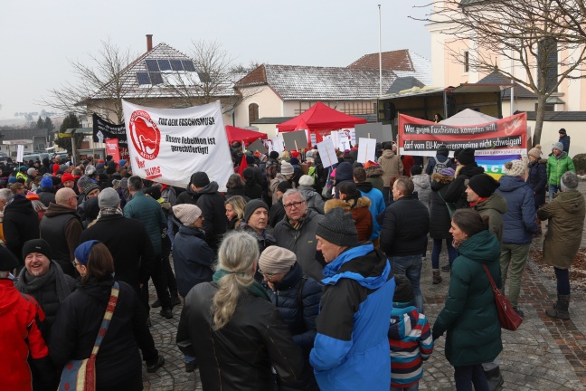 Großeinsatz der Polizei bei Demonstration gegen Kongress der "Verteidiger Europas" in Aistersheim