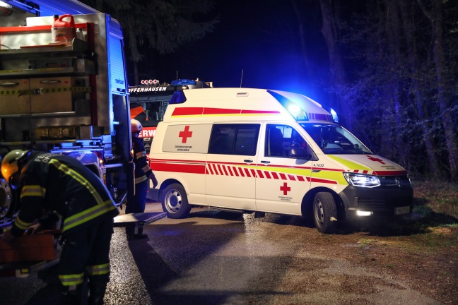 Autolenker bei Kollision mit Baum in Offenhausen verletzt