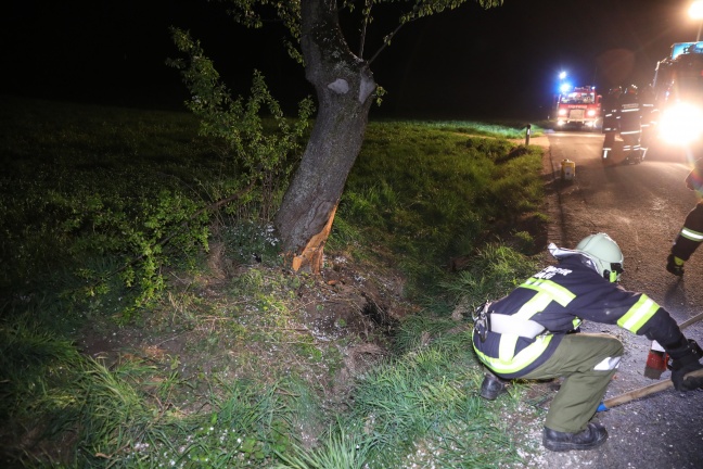 Auto kracht bei Unfall in Gaspoltshofen gegen Baum