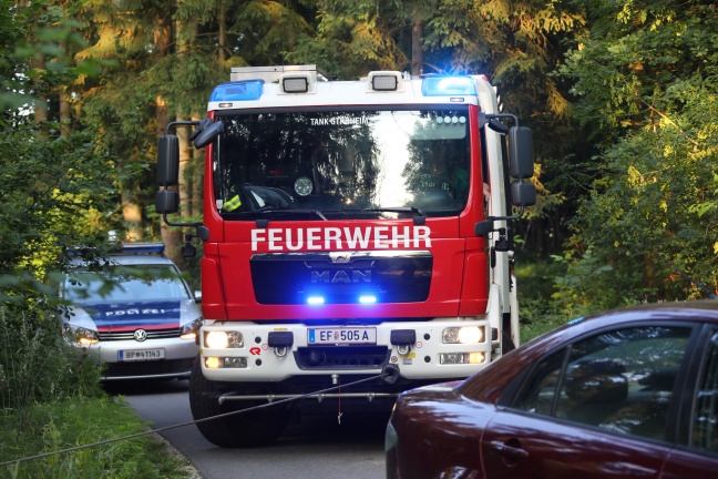 Autolenker bei Unfall in Stroheim gegen Baum gekracht
