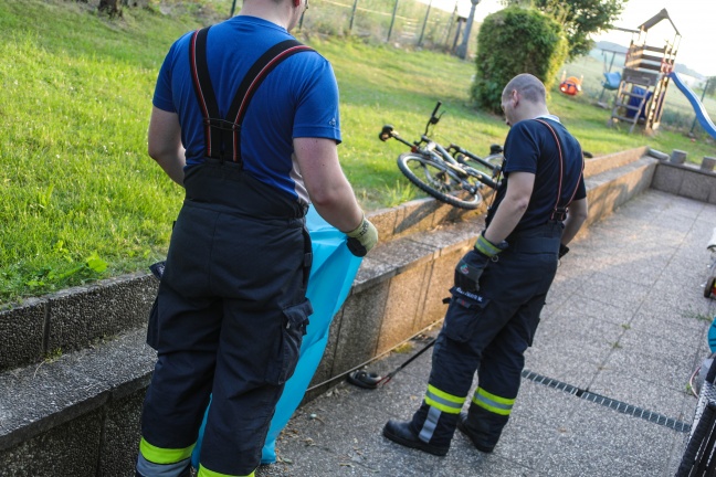 Ringelnatter im Garten eines Hauses in Wels-Puchberg durch Einsatzkräfte der Feuerwehr eingefangen