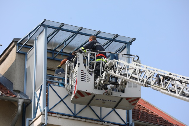 Katze mittels Drehleiter von überhitztem Balkon in Wels-Neustadt gerettet