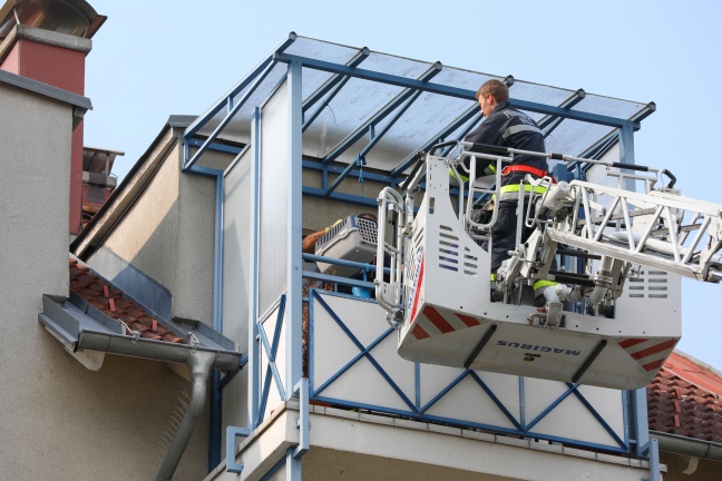 Katze mittels Drehleiter von überhitztem Balkon in Wels-Neustadt gerettet