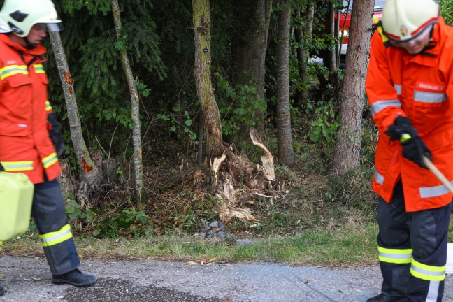 PKW-Lenker bei Verkehrsunfall in Gallspach leicht verletzt