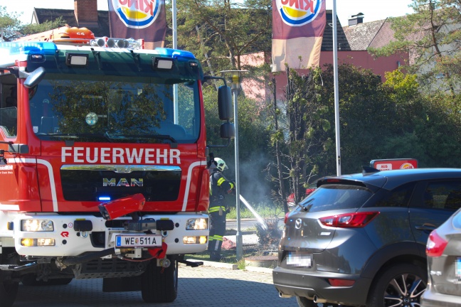 Brand eines Thujenbaumes in Wels-Neustadt rasch gelöscht